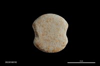 藏品(砝碼形網墜)的圖片